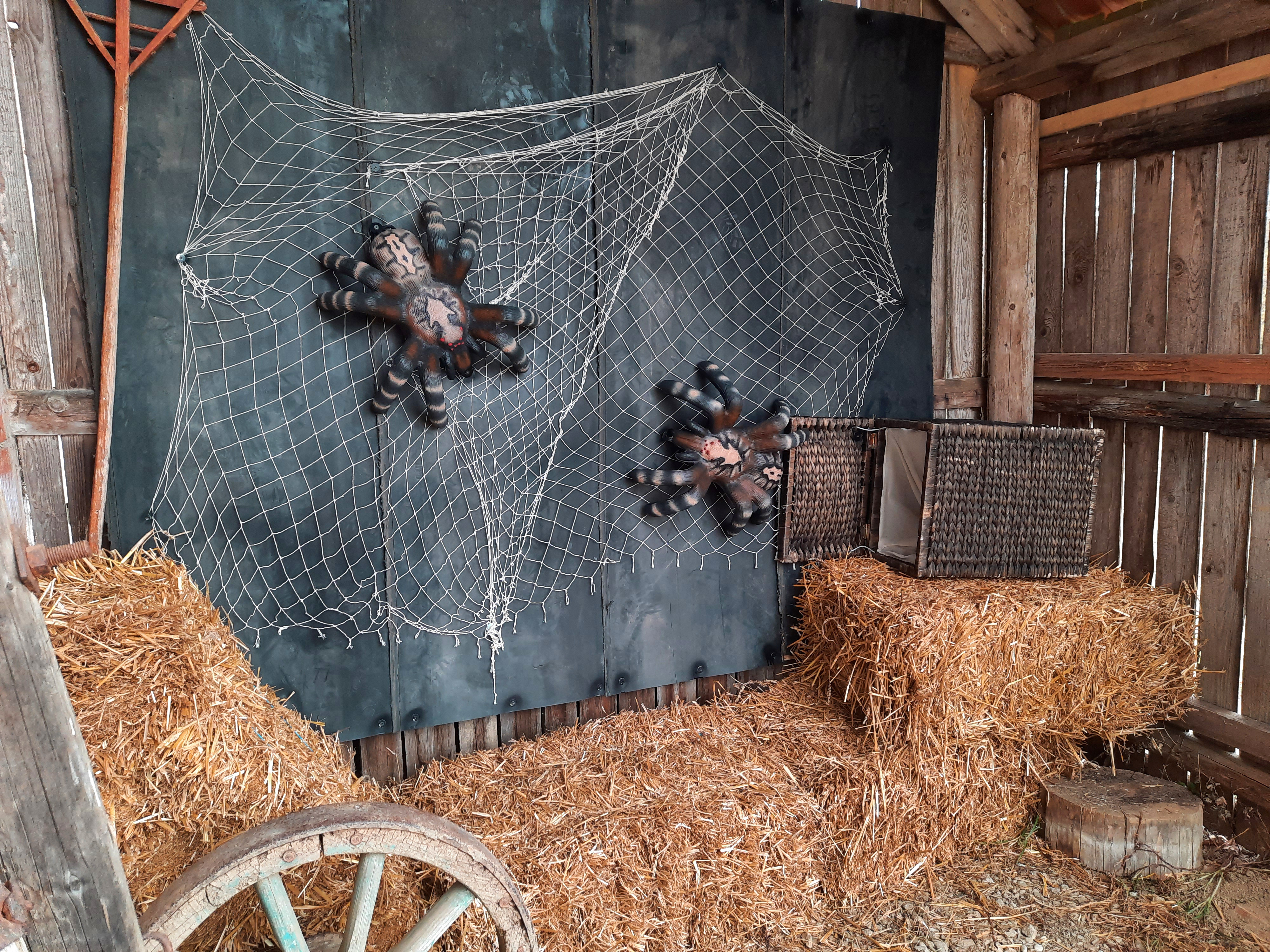 3D Parcour Bogenschießen: Zwei Vogelspinnen im Netz - BSC Rothberg - Wieselgraben