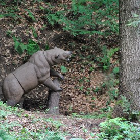 3D - Parcour: Grizzly-Bär - BSC Rothberg - Wieselgraben