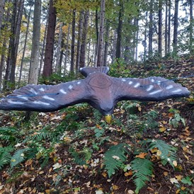3D - Parcour: Steinadler fliegend - BSC Rothberg - Wieselgraben