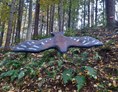3D - Parcour: Steinadler fliegend - BSC Rothberg - Wieselgraben
