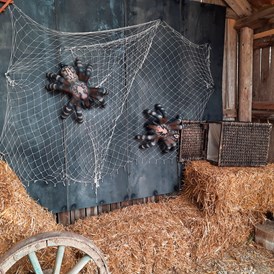 3D - Parcour: Zwei Vogelspinnen im Netz - BSC Rothberg - Wieselgraben