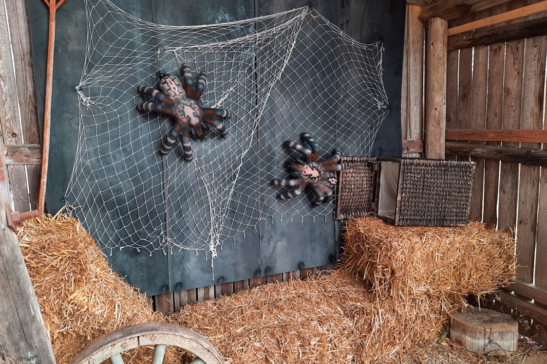 3D - Parcour: Zwei Vogelspinnen im Netz - BSC Rothberg - Wieselgraben