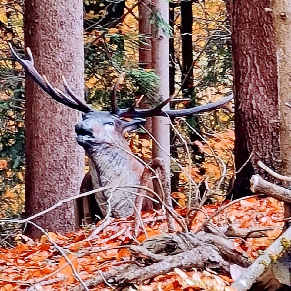 3D Parcour Bogensport - Steiermark - Heeressportverein Strass Bogensport "Kästenburg"