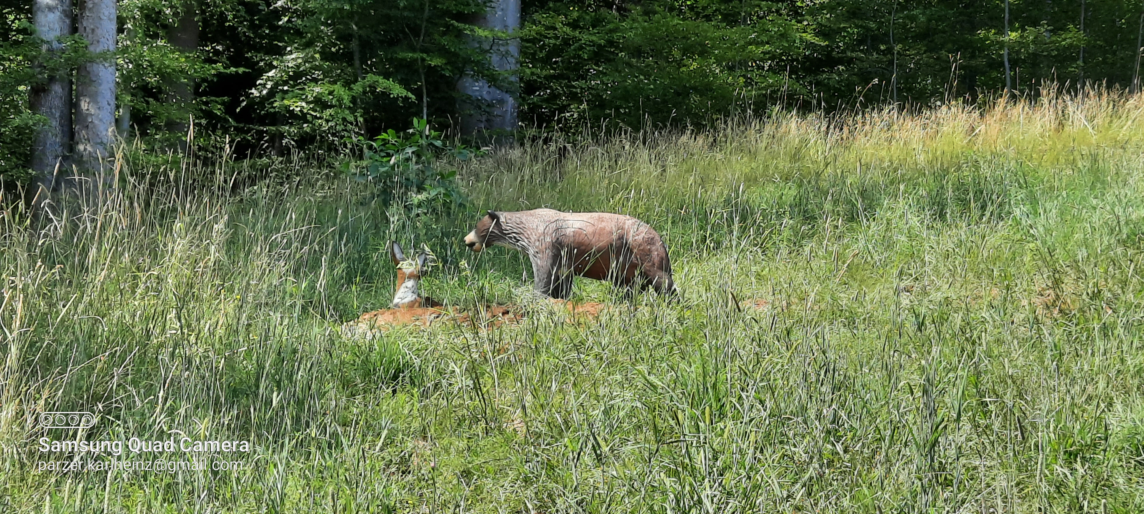 3D Parcour Bogensport - Steiermark - Heeressportverein Strass Bogensport "Kästenburg"