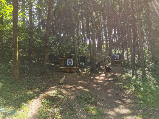 3D archery course - Kirchberg an der Raab - BSC Wolfspfeil