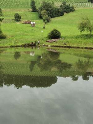 3D archery course - Kirchberg an der Raab - BSC Wolfspfeil