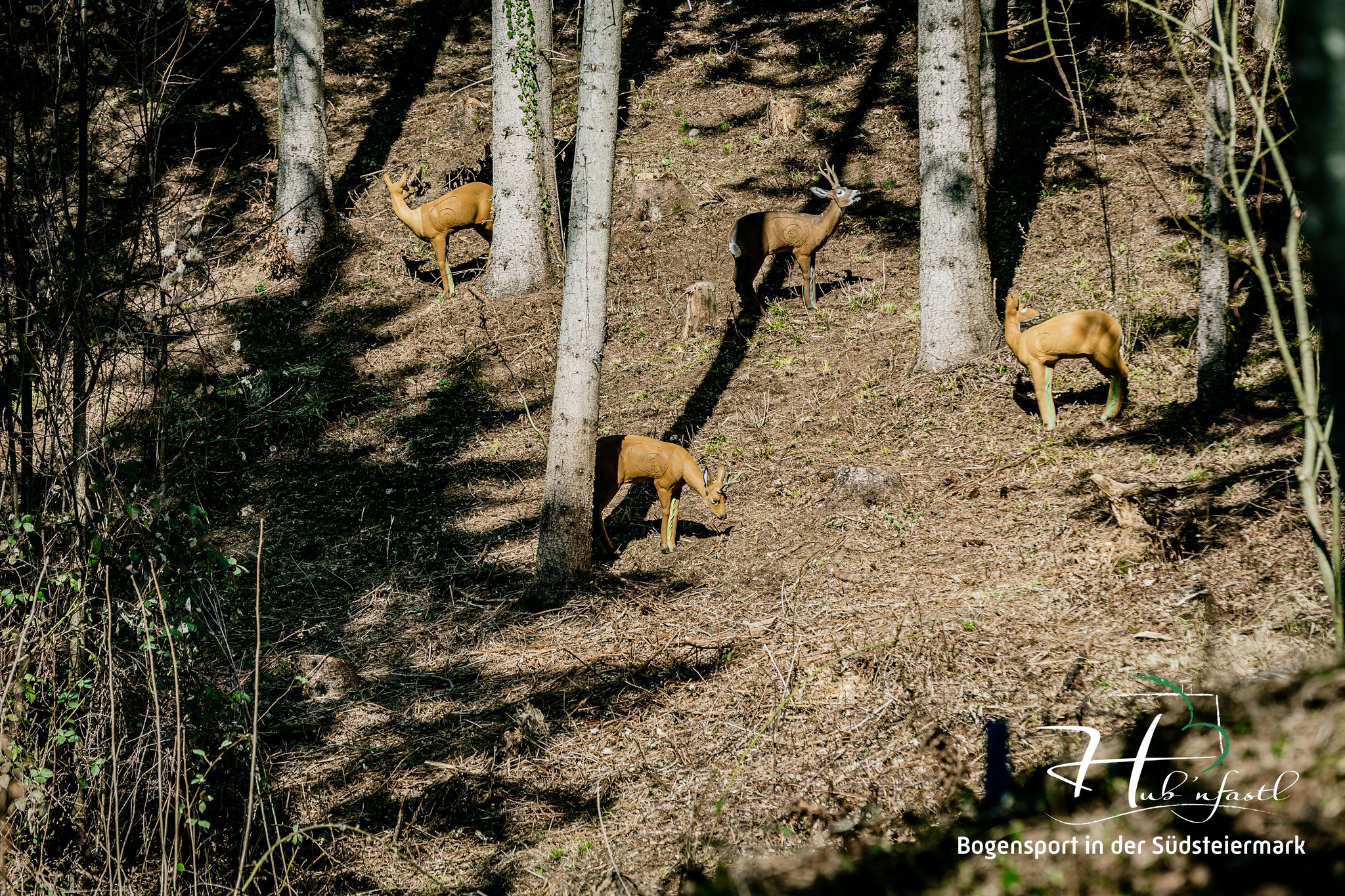 3D archery course - Kirchberg an der Raab - BSC Hub’nfastl