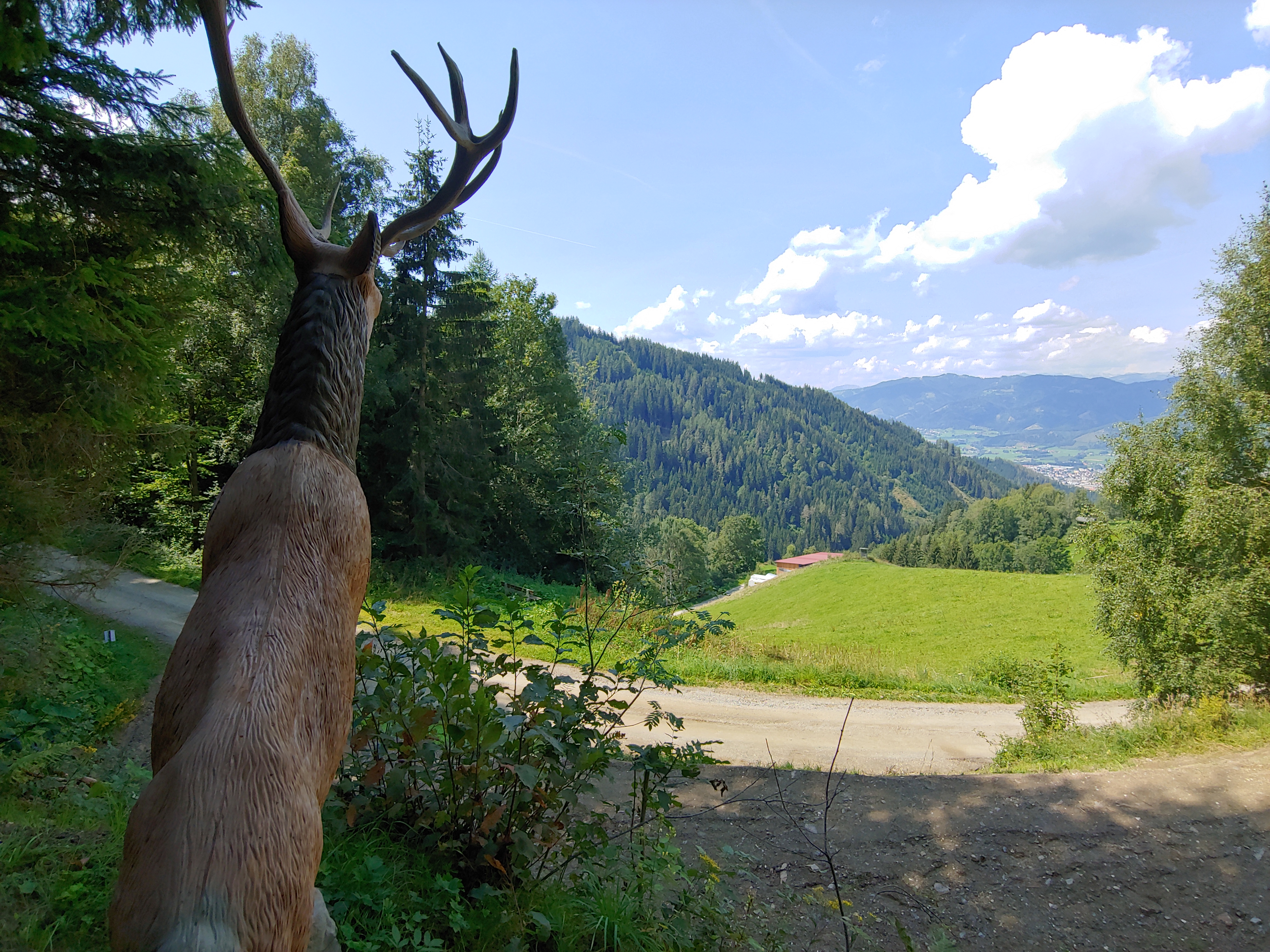 3D archery course - Weiz - BSV Komantschen