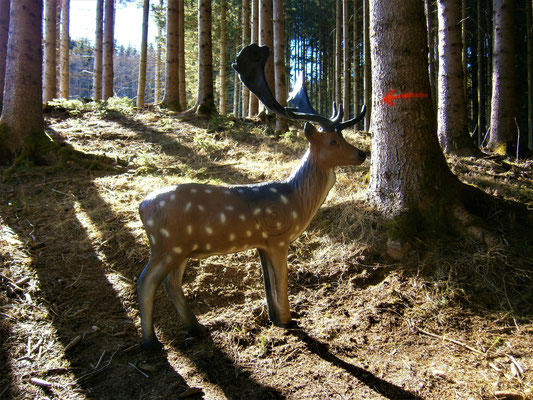 3D Parcour Bogensport - Steiermark - BSV Seckau