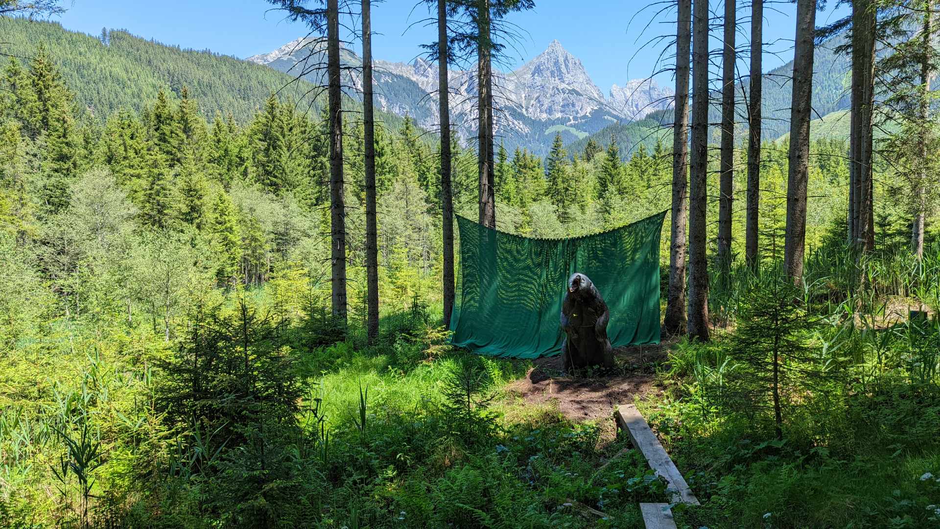 3D Parcour Bogensport - Donnersbach - BSC- Ennstal / 3D Kaiserjäger