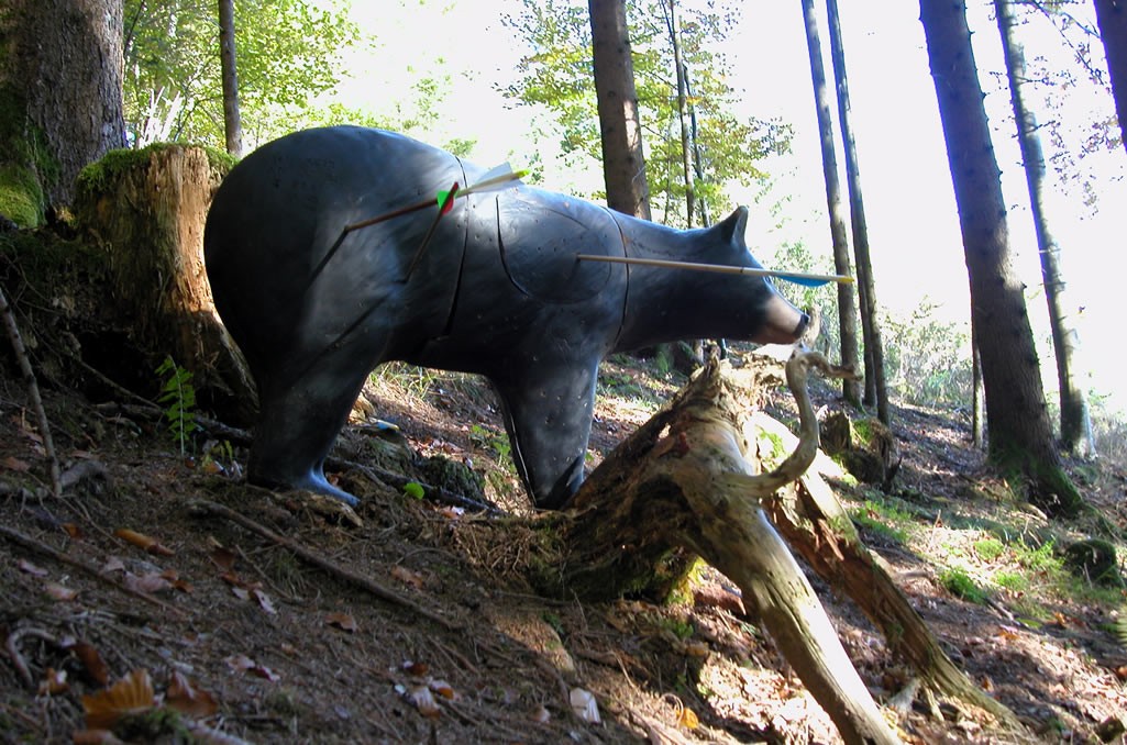 3D Parcour Bogensport - Filzmoos (Filzmoos) - Abenteuerhof