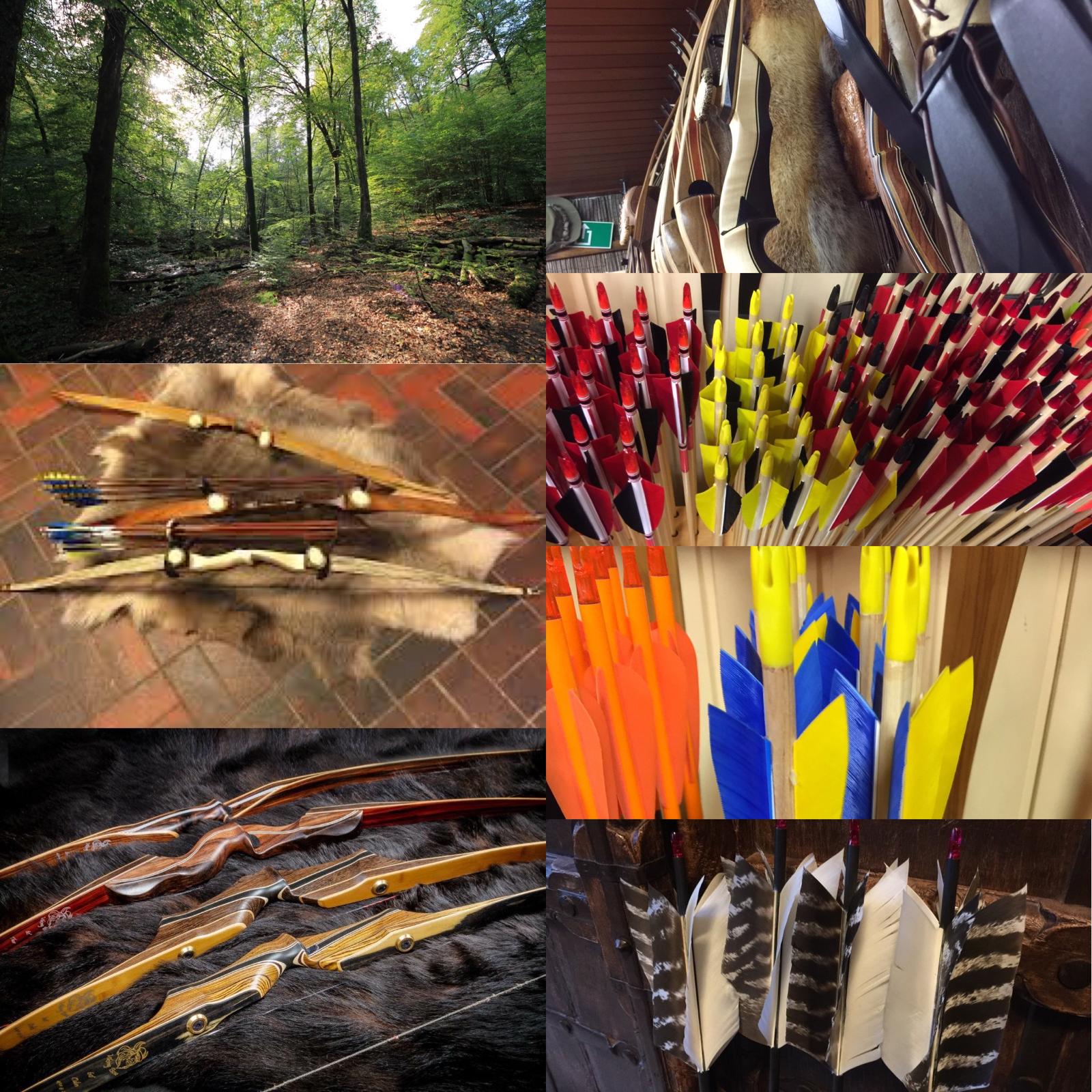 3D Parcour Bogensport - Weiteres Sortiment: 3D Tiere - bows and arrows and image of our 3D course - All Inn Traditional