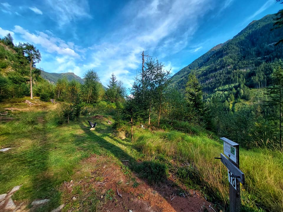 3D Parcour Bogensport - Filzmoos (Filzmoos) - Bogenranch Bruno