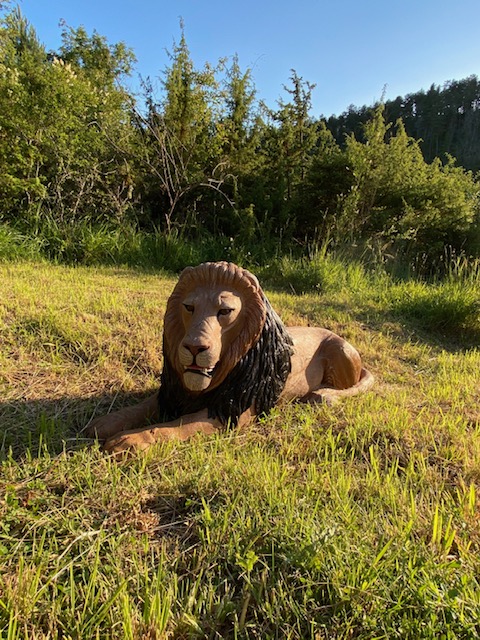 3D Parcour Bogensport - Italien - Savannen-Parcours mit 16 Zielen - Poderi Val Verde  - Chianti 3D Archery