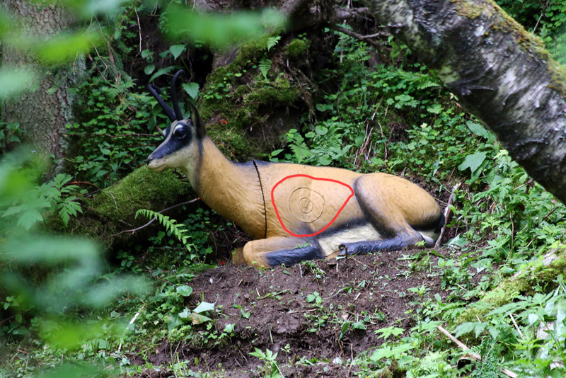 3D Parcour Bogensport - Filzmoos (Filzmoos) - Bogenparcours Schaupphof