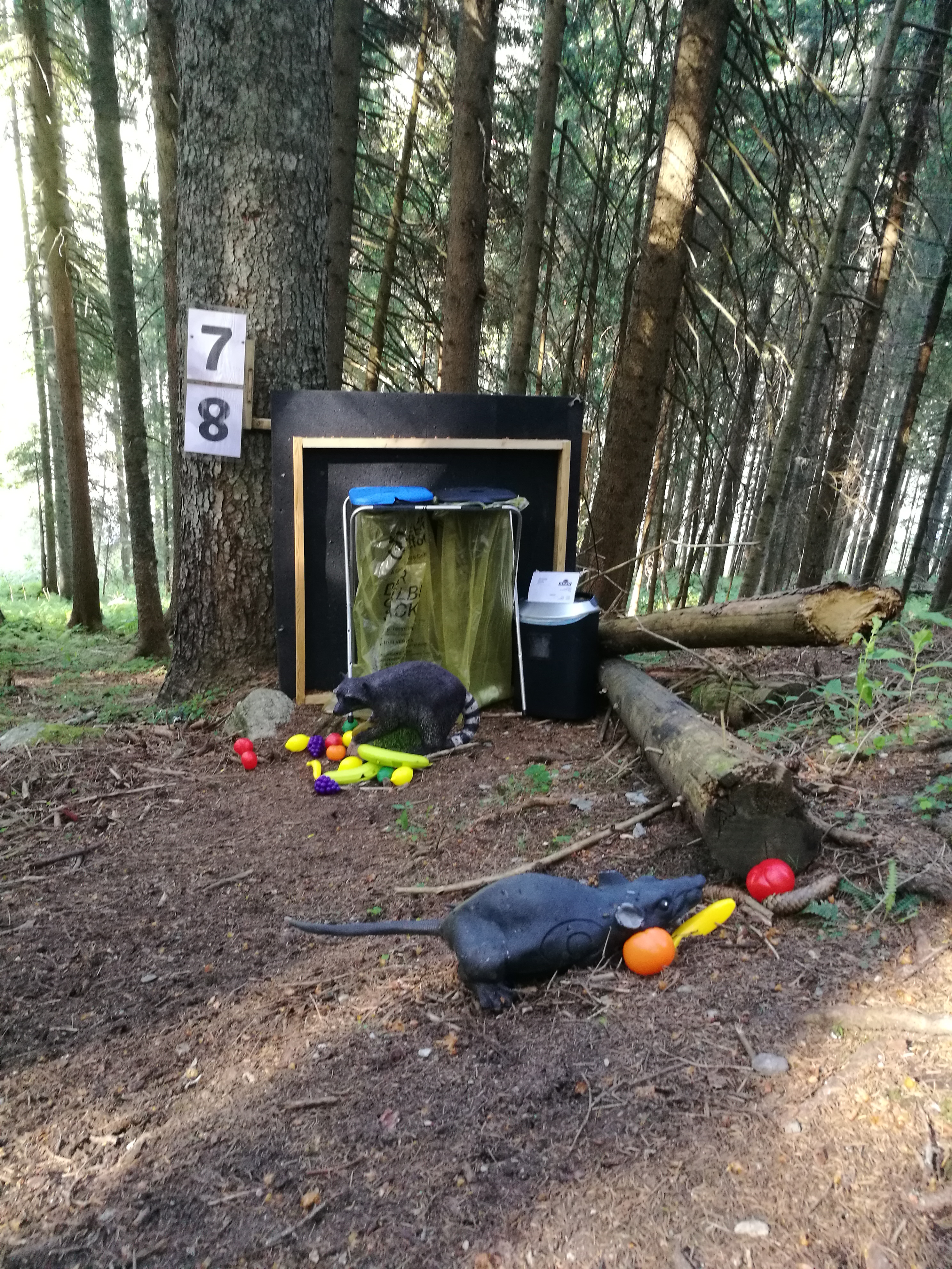 3D Parcour Bogenschießen: 3D-Parcours Rittisberg