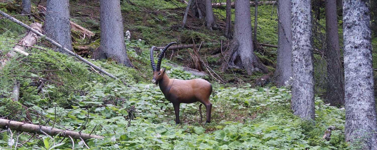 3D Parcour Bogenschießen: 3D-Parcours Rittisberg