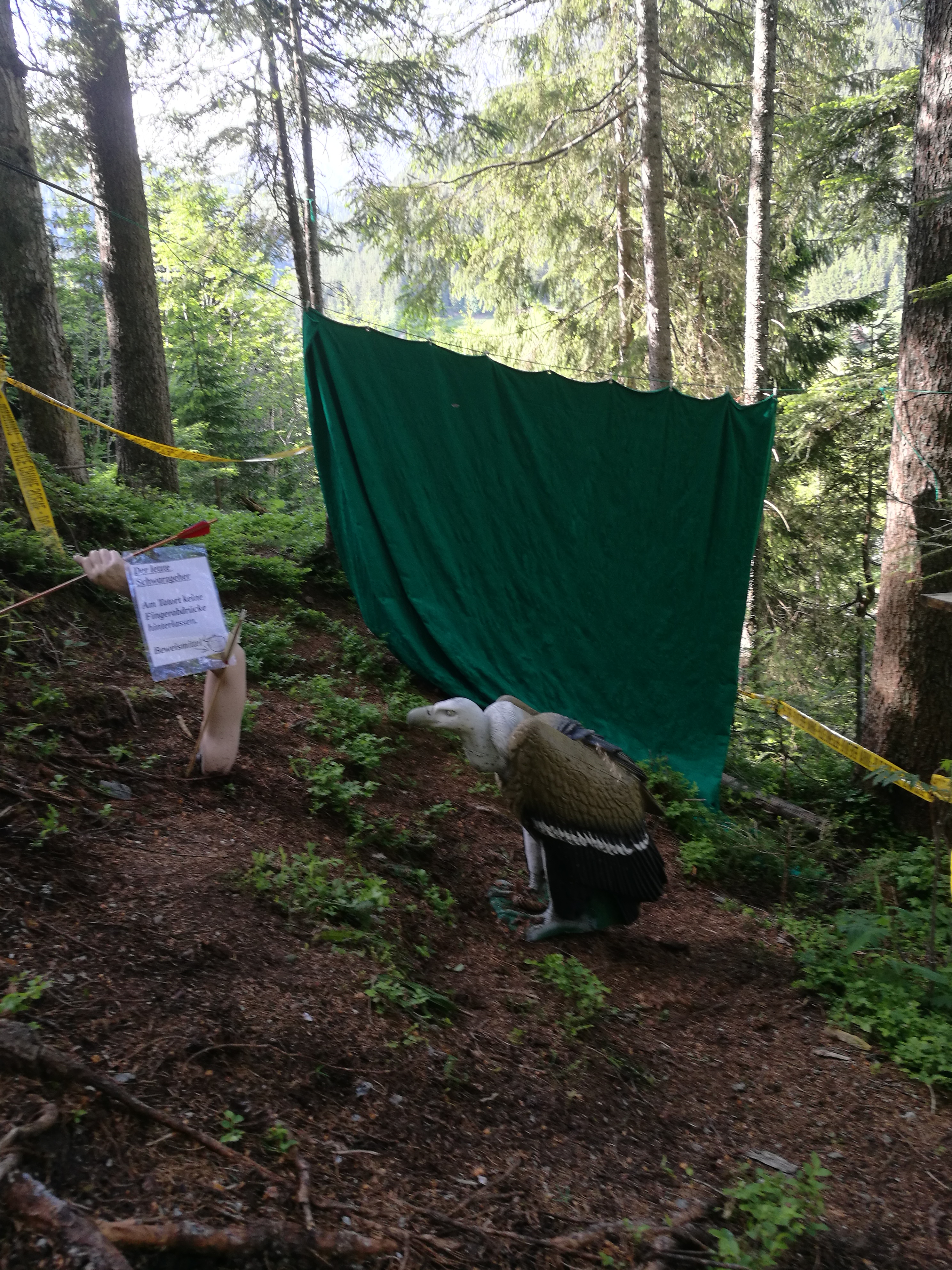 3D Parcour Bogenschießen: 3D-Parcours Rittisberg