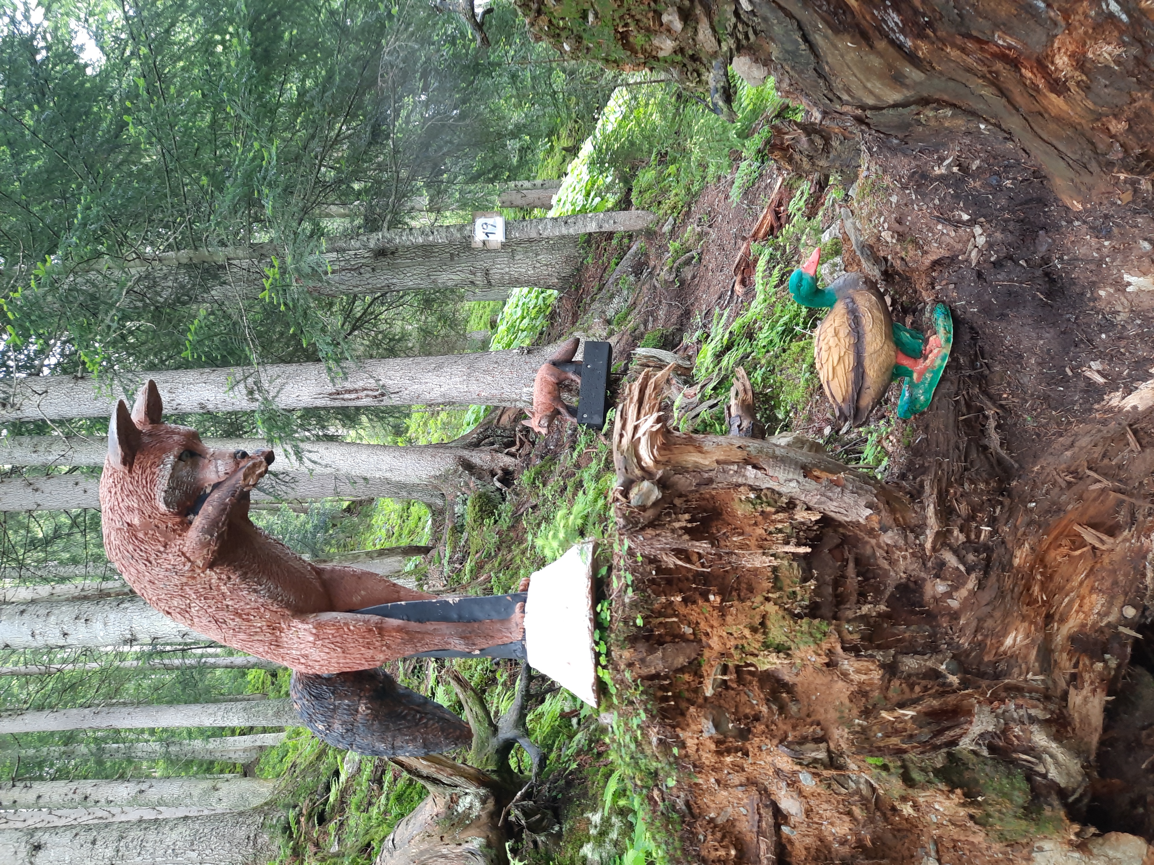 3D Parcour Bogenschießen: 3D-Parcours Rittisberg