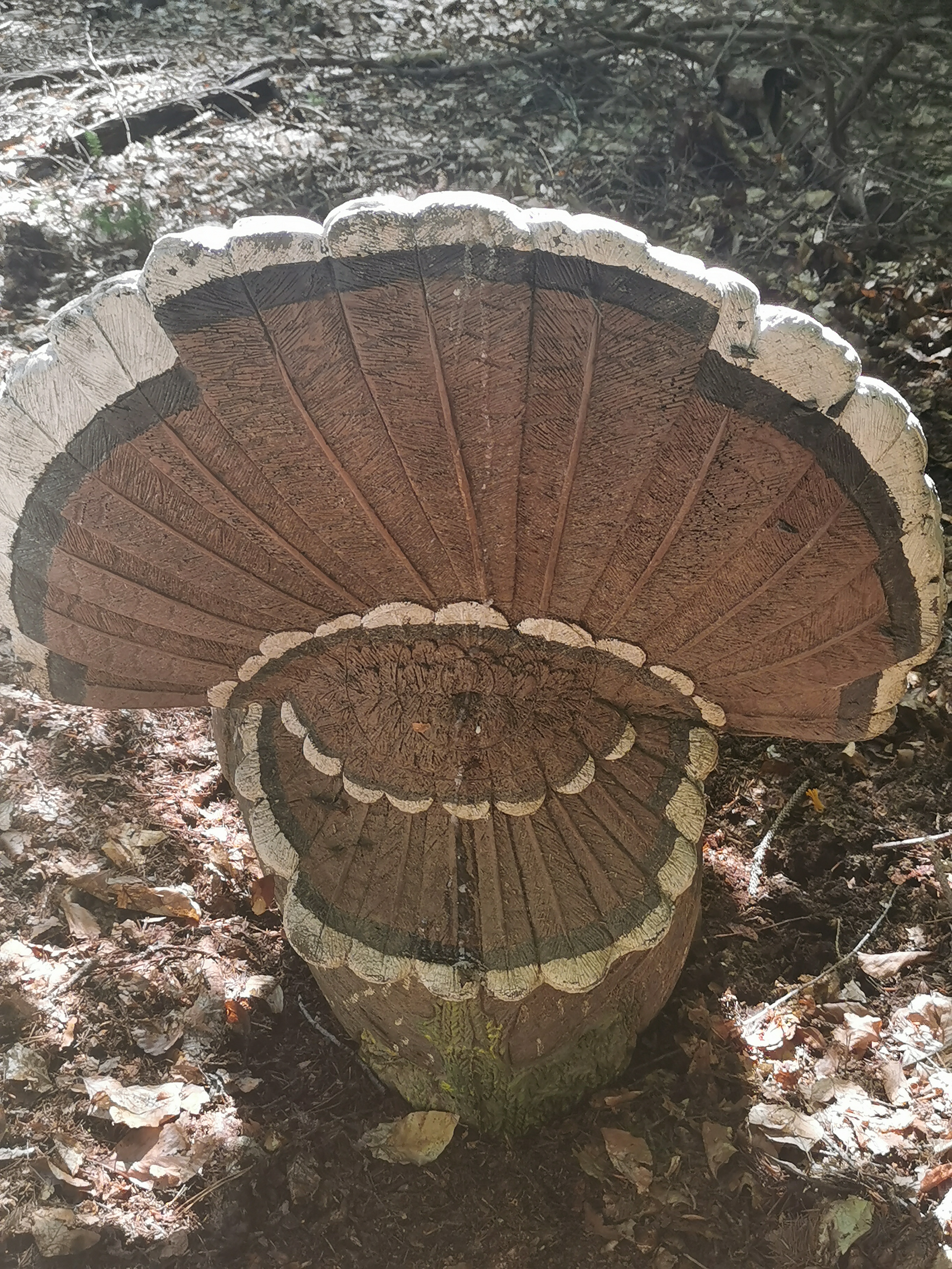 3D Parcour Bogenschießen: Neuer Platz für den Truthahn! Ein gefinkelter Schuss in den Popo! - Die Bogenflüsterei