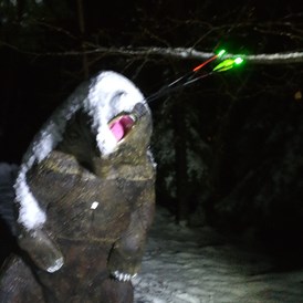 3D - Parcour: Im Winter bei Nacht da kriegt der Bär Eins auf die Nase - Die Bogenflüsterei