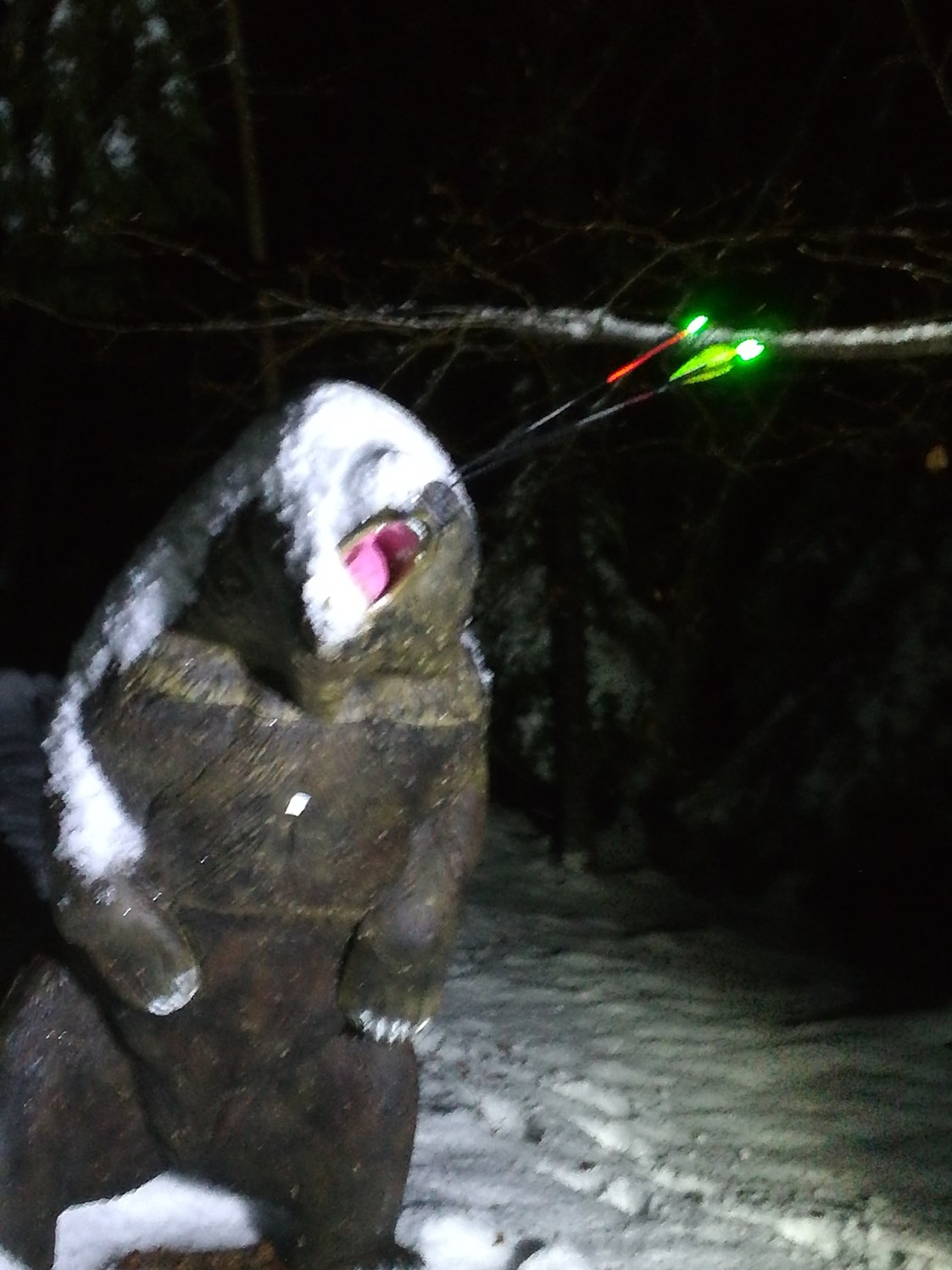 Parcours: Im Winter bei Nacht da kriegt der Bär Eins auf die Nase - Die Bogenflüsterei