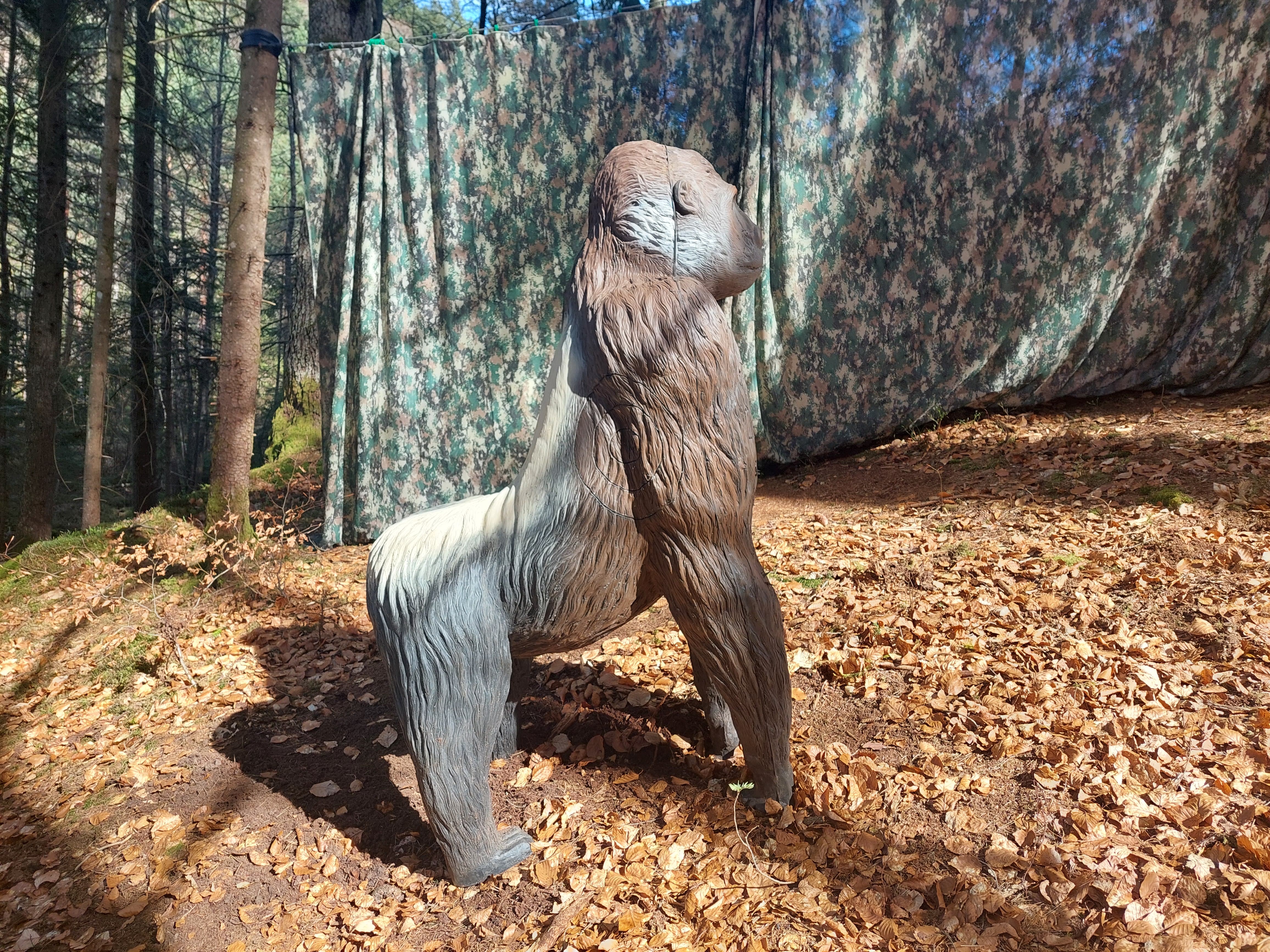 3D archery course - Carinthia - SGS Spittal - Lug ins Land