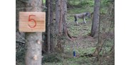 Parcours - unsere Anlage ist: für alle geöffnet - Bogenparcours Hood Wood