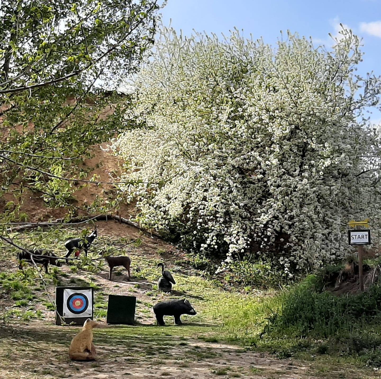 3D archery course - Burgenland - 3D Parcours Nickelsdorf