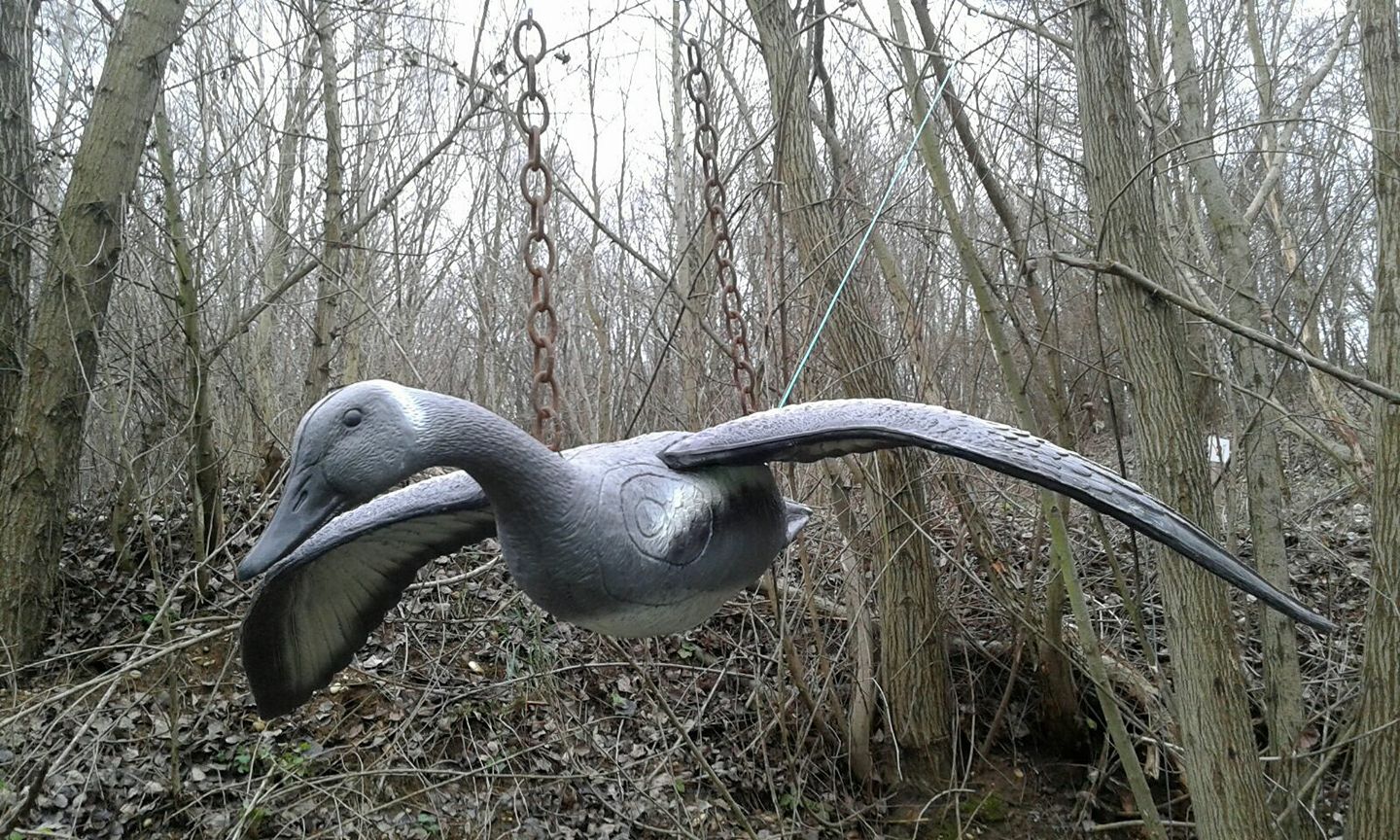 3D archery course - Burgenland - 3D Parcours Nickelsdorf