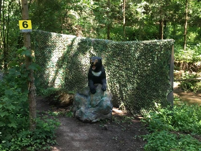3D Parcour Bogensport - Marchtrenk - Union Ried in der Riedmark