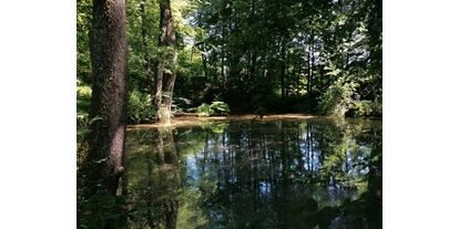 3D Parcour Bogensport - Marchtrenk - Teich Schuss - BSV Kremstal