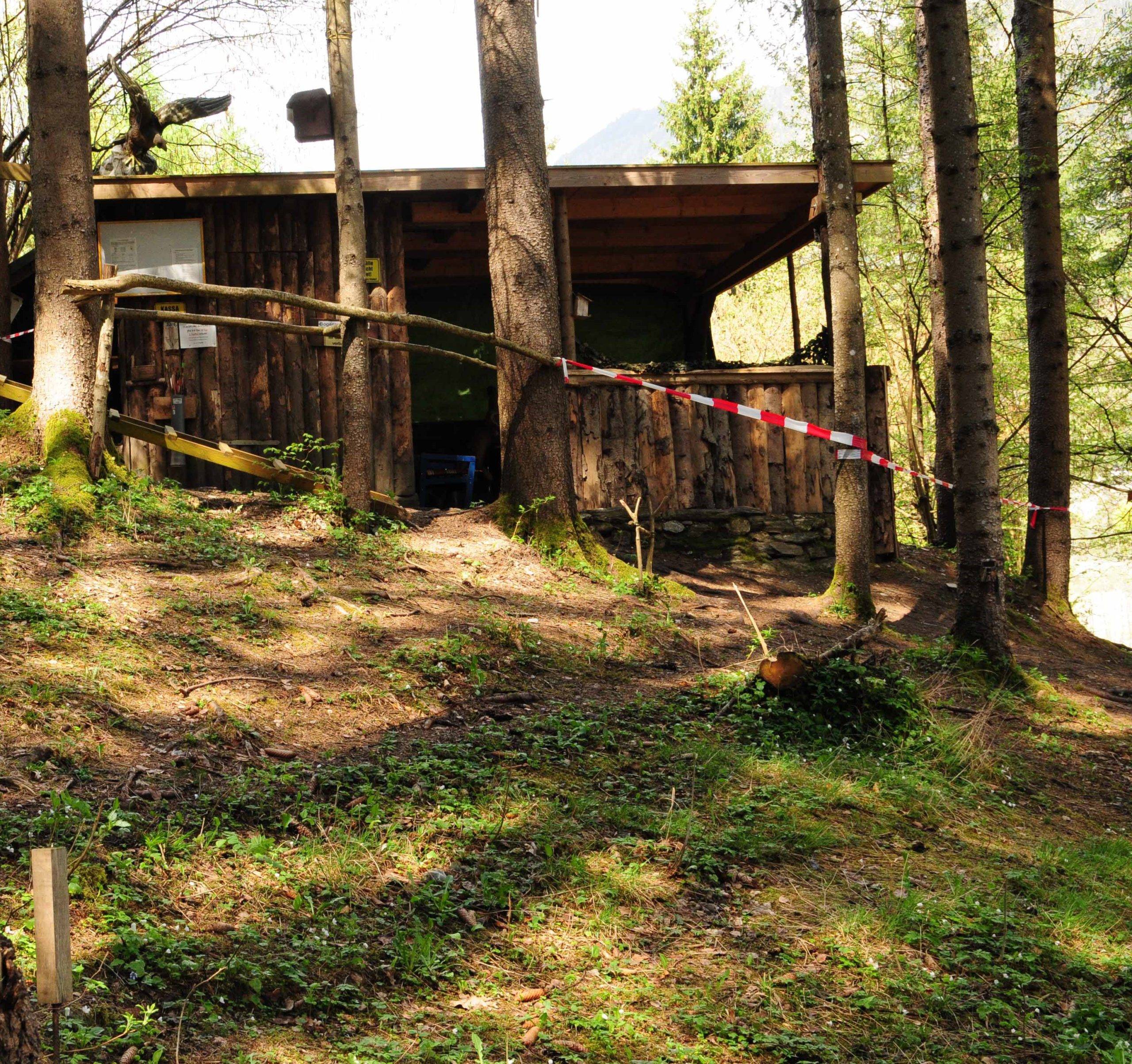 3D Parcour Bogensport - Filzmoos (Filzmoos) - BSC Sagitta