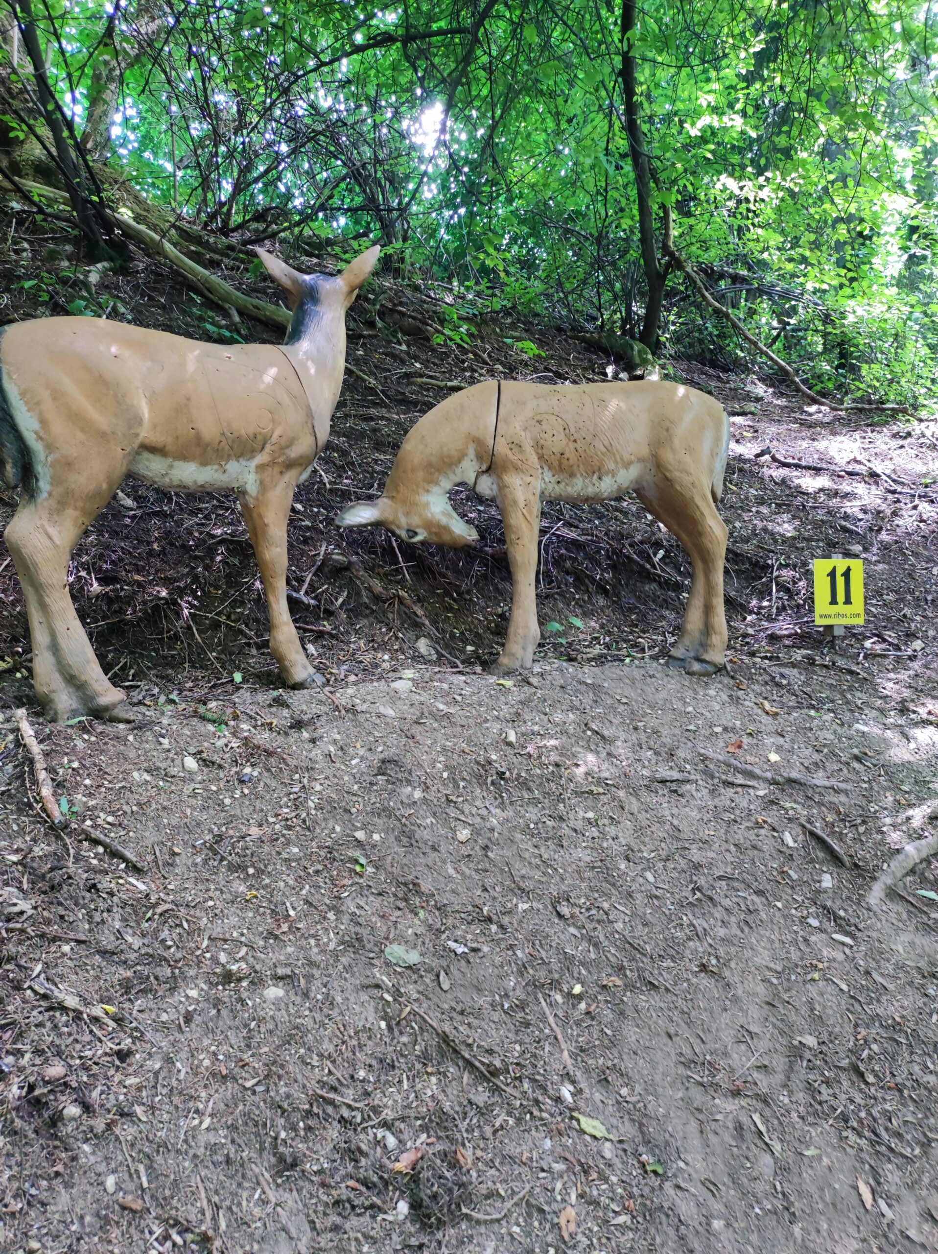 3D Parcour Bogensport - Filzmoos (Filzmoos) - BSC Sagitta