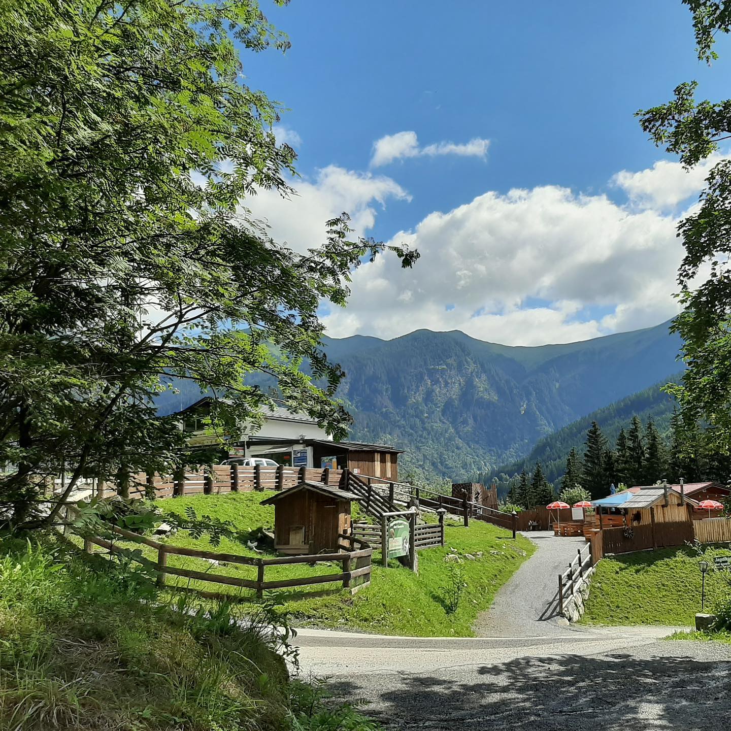 3D Parcour Bogensport - Filzmoos (Filzmoos) - Jagdbogenparcours Bad Gastein