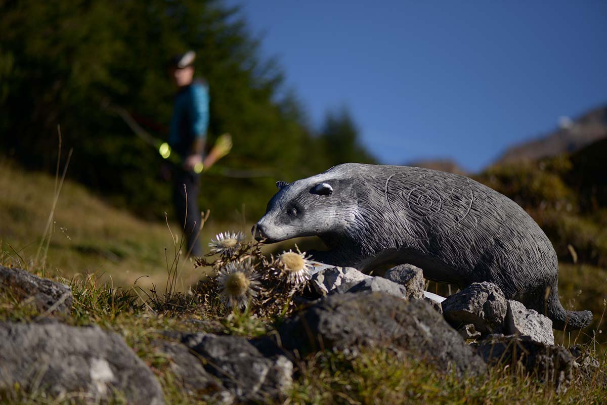 3D archery course - Zams - OASE-K77 3D-Parcours