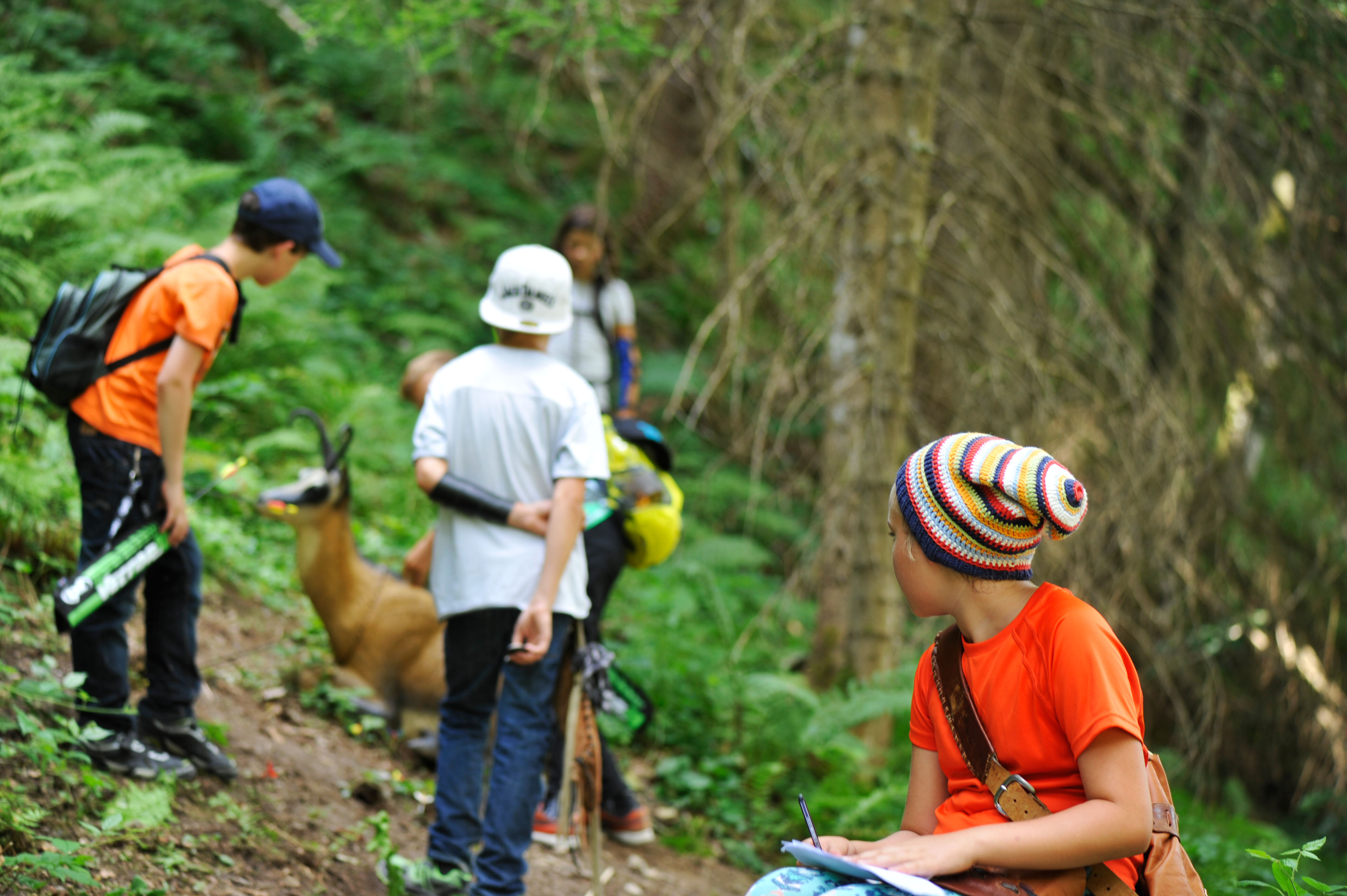 3D archery course - Zams - OASE-K77 3D-Parcours
