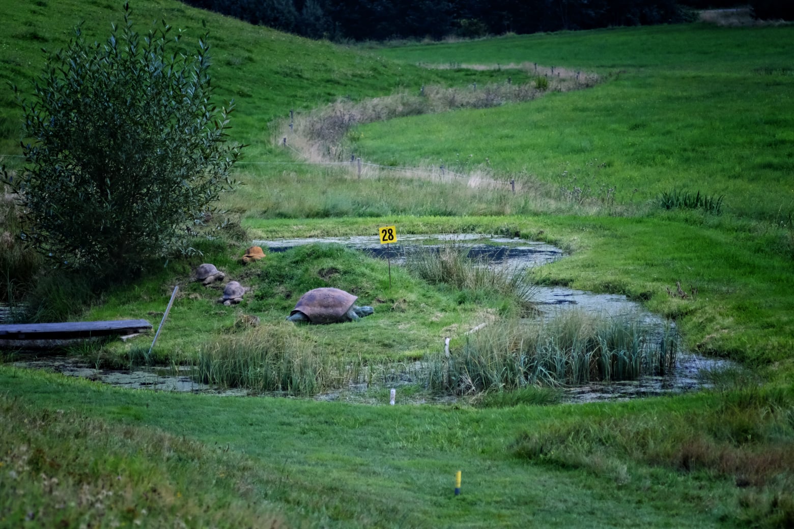 3D archery course - Hochneukirchen - Weninger 3D Parcours
