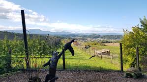 3D Parcour Bogensport - Bogenhalle - BSV Gleisdorf