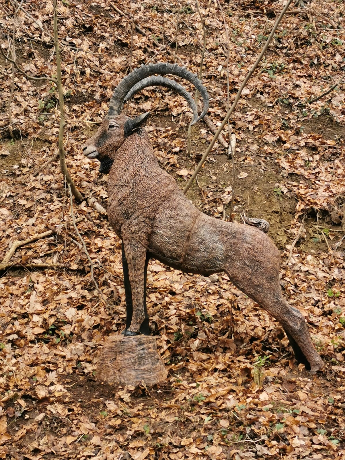 BSC Vulkanland Unterschiedliche Parcours Hexengraben