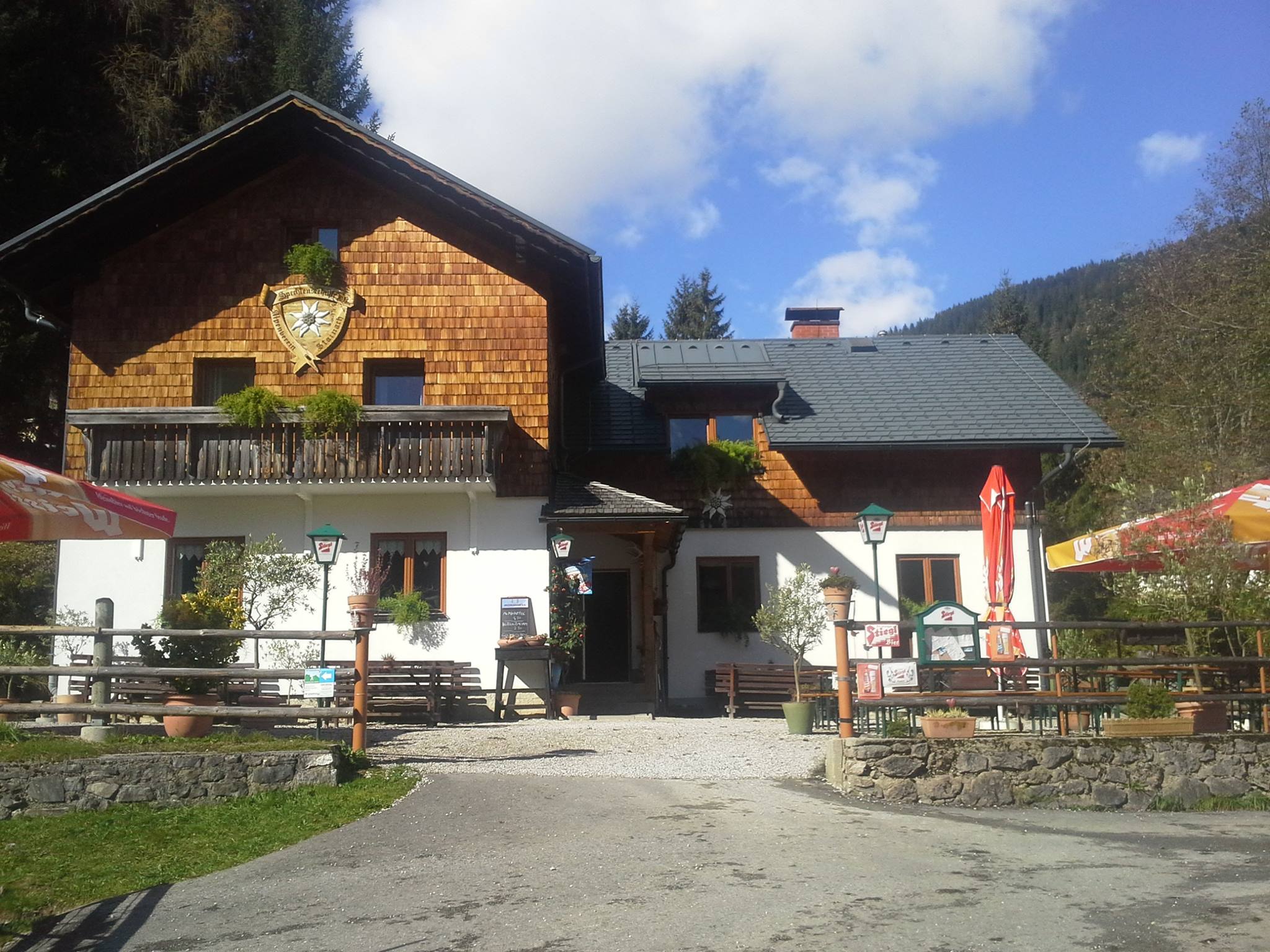 3D Parcour Bogensport - Filzmoos (Filzmoos) - Spechtenseehütte