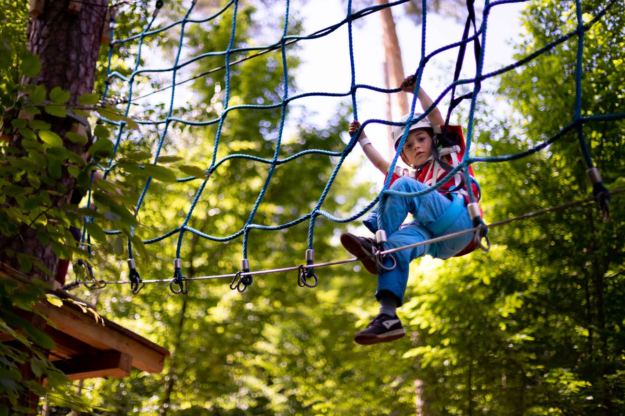 3D Parcour Bogenschießen: Hochseilgarten für Jung und Alt - Erlebnispark Rosenburg