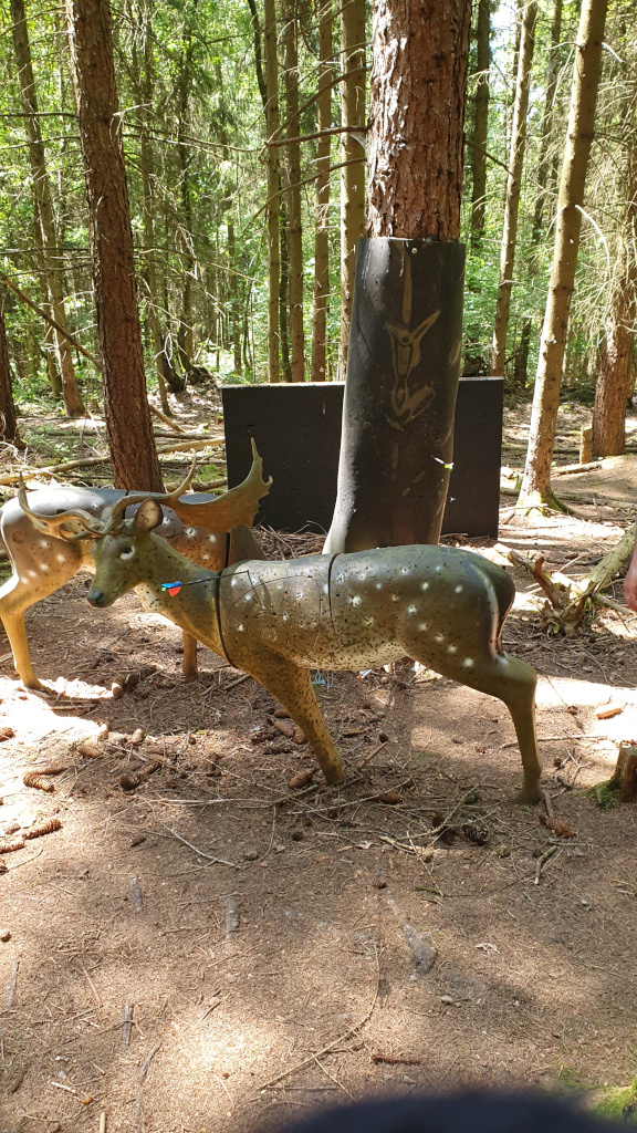 3D Parcour Bogenschießen: Hische ... Distanz ... weit ... bergab - Biberburg Parcours DK Bow-Factory