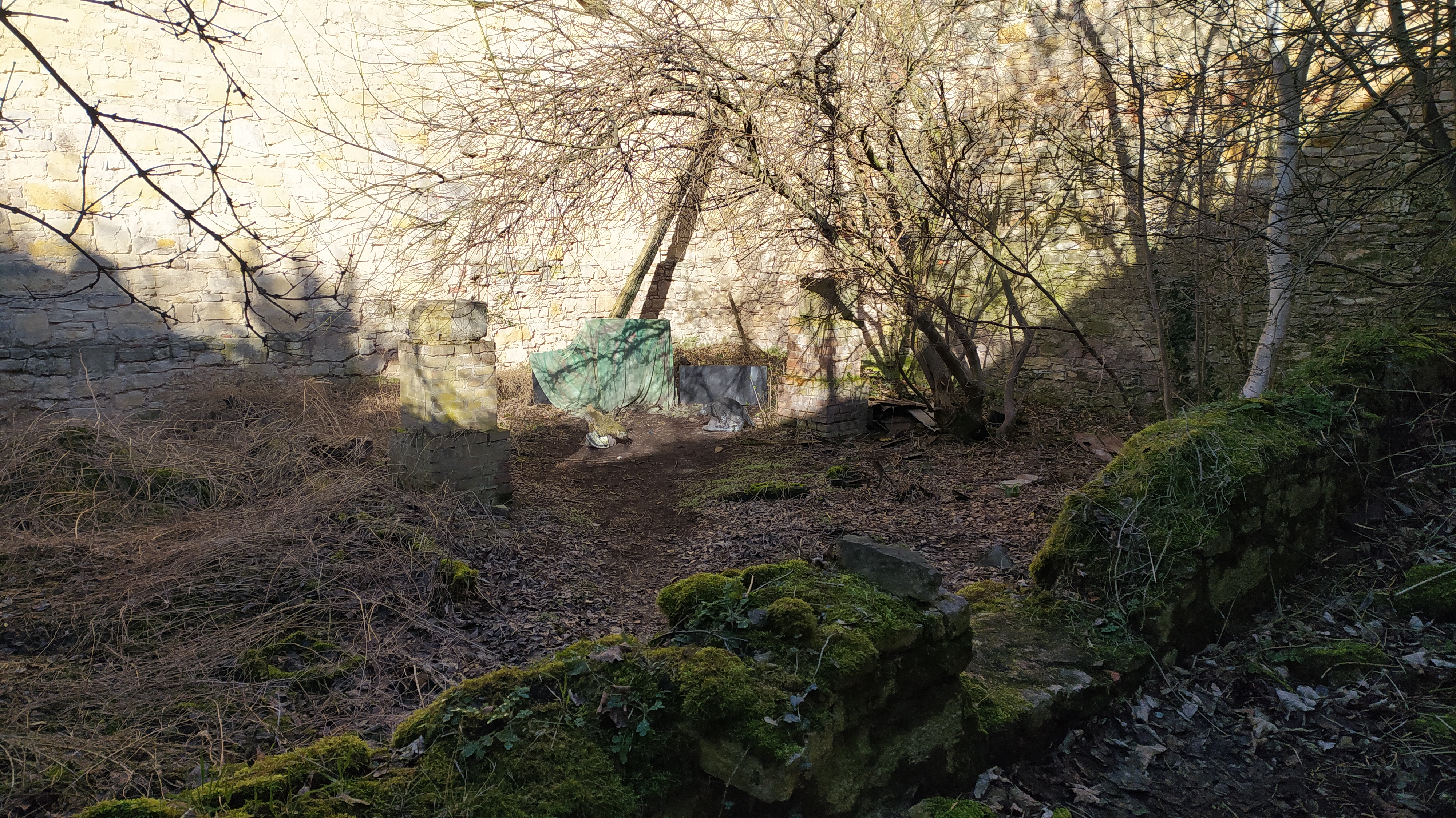 3D Parcour Bogenschießen: 3D Parcours Gutshof Bogenzentrum - Huy