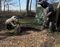 3D - Parcour: Bären - Freie Bogenschützen Vorpommern