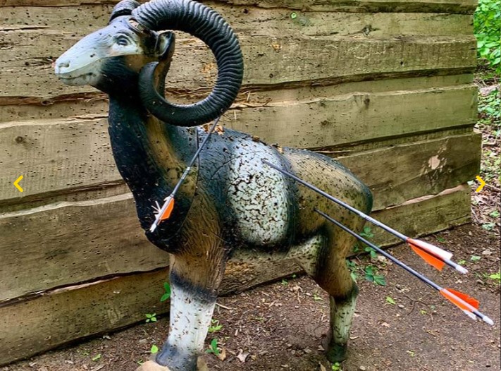 3D archery course - Saxony - Abenteuerpark Moritzburg