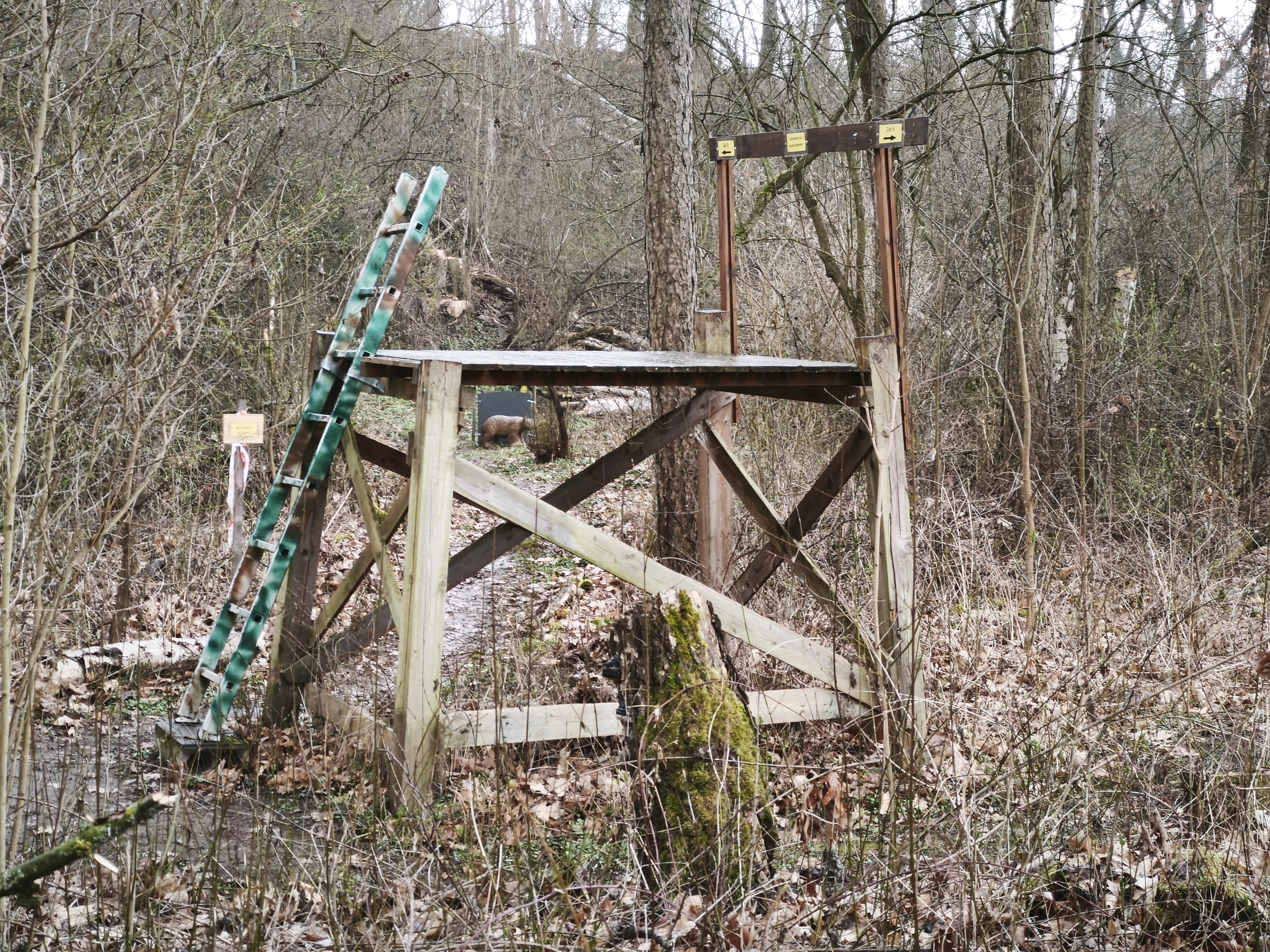 3D Parcour Bogensport - Deutschland - Hochstand - Elbland 3D Parcours 