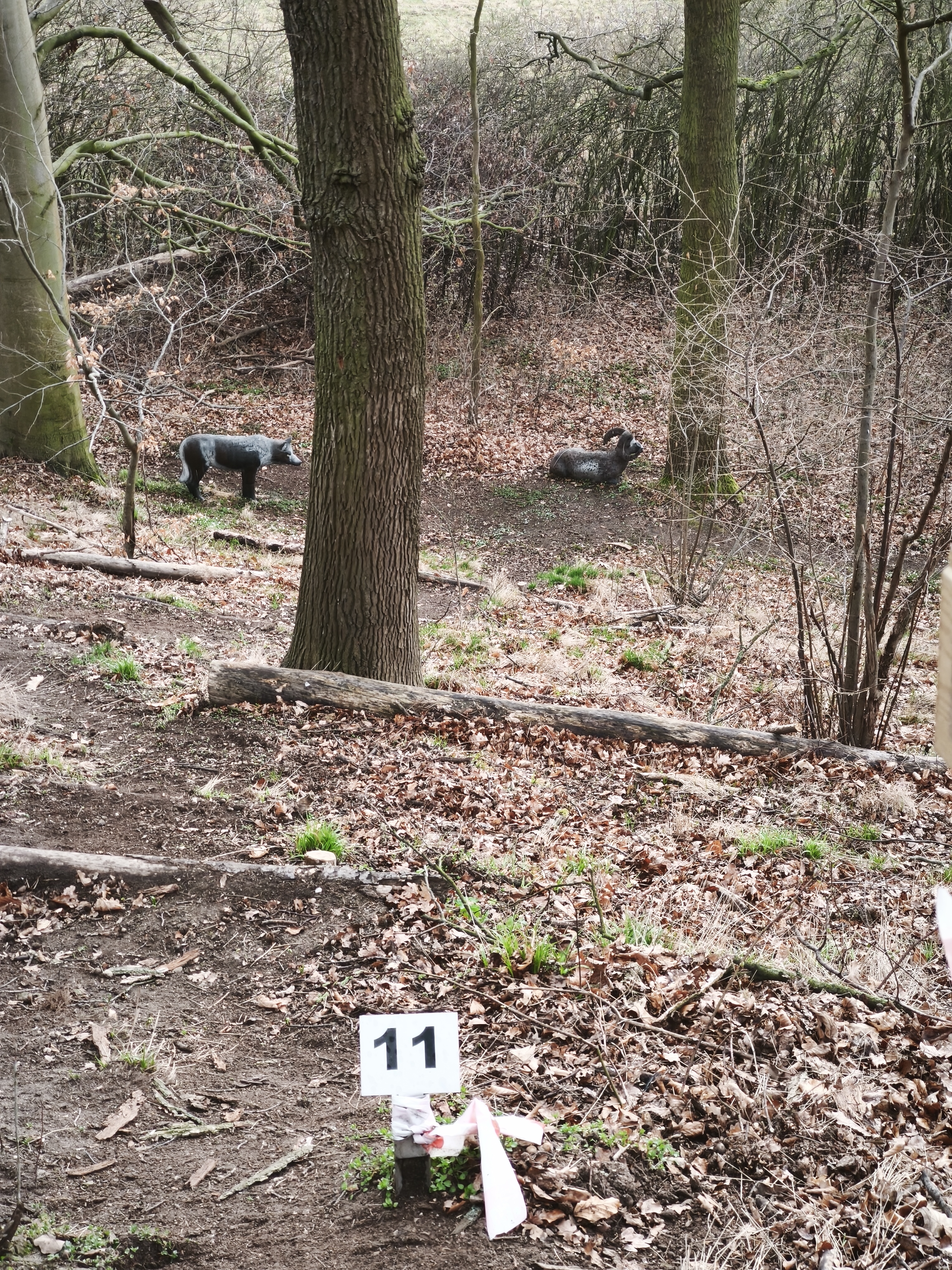 3D Parcour Bogensport - Deutschland - Parcours-Position - Elbland 3D Parcours 