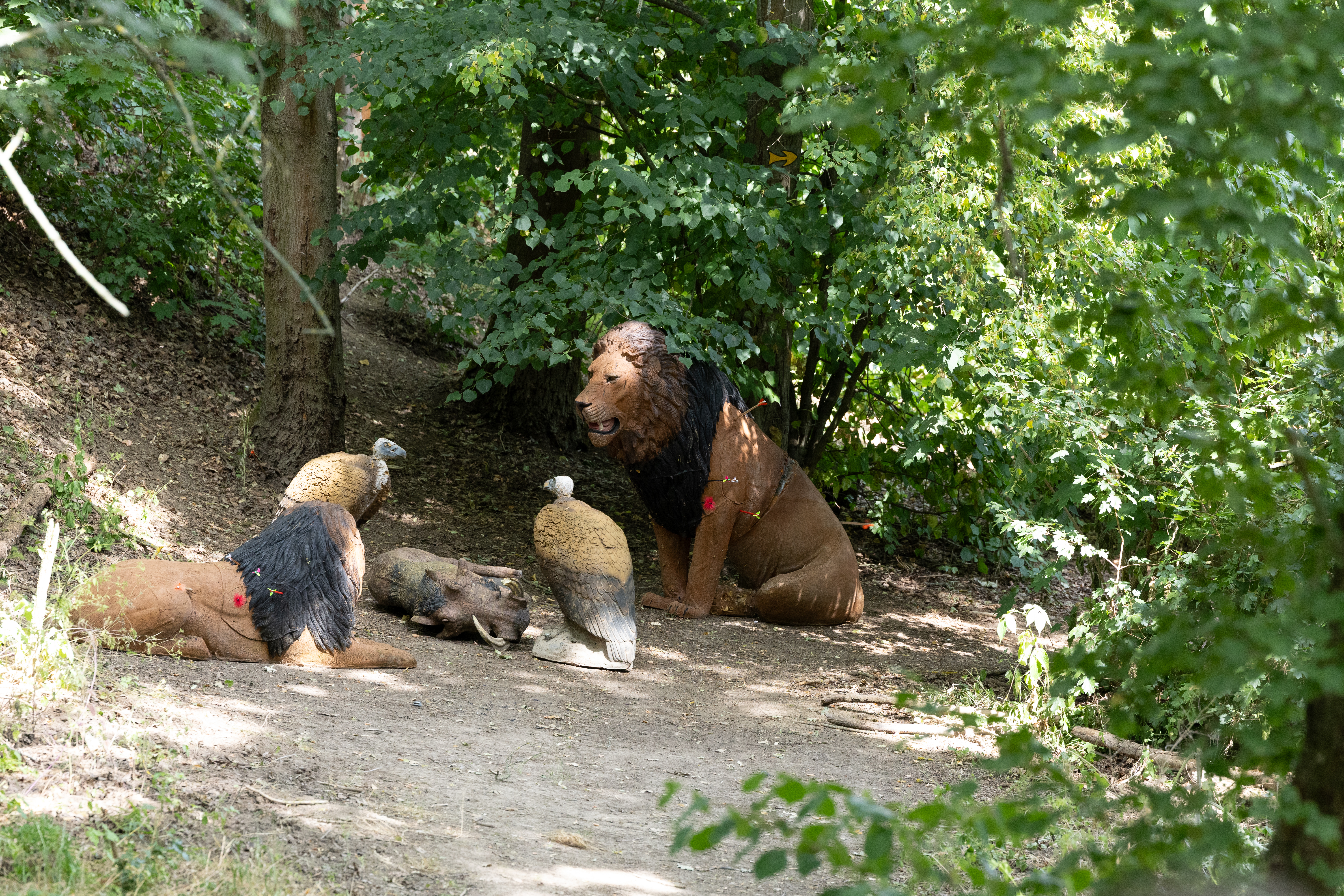 3D Parcour Bogensport - erlaubte Bögen: Compound - Löwe mit Geiern - Camburger Bogenschützen e.V