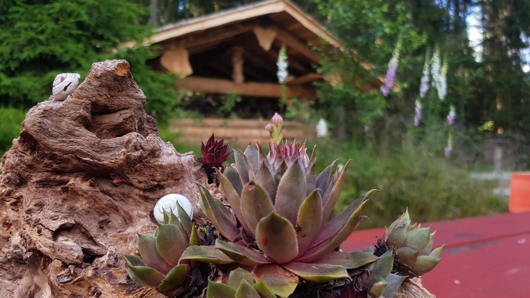 3D Parcour Bogenschießen: Bogenland Christes